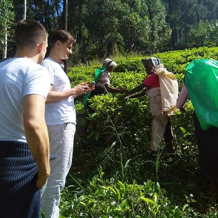 The Farm House Nuwaraeliya Nuwara Eliya Exterior photo