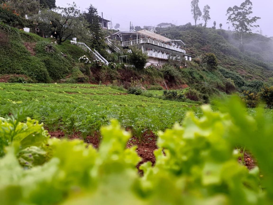 The Farm House Nuwaraeliya Nuwara Eliya Exterior photo